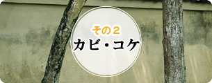 その2　カビ・コケ